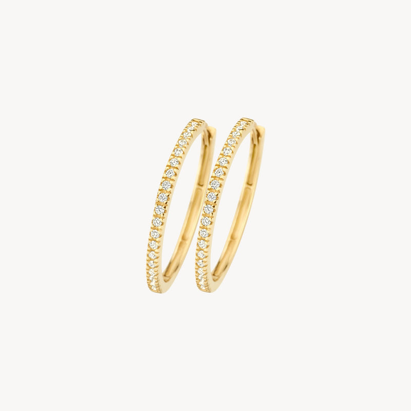 Blush Oorringen 14kt Goud 7306YZI