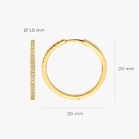 Blush Oorringen 14kt Goud 7306YZI
