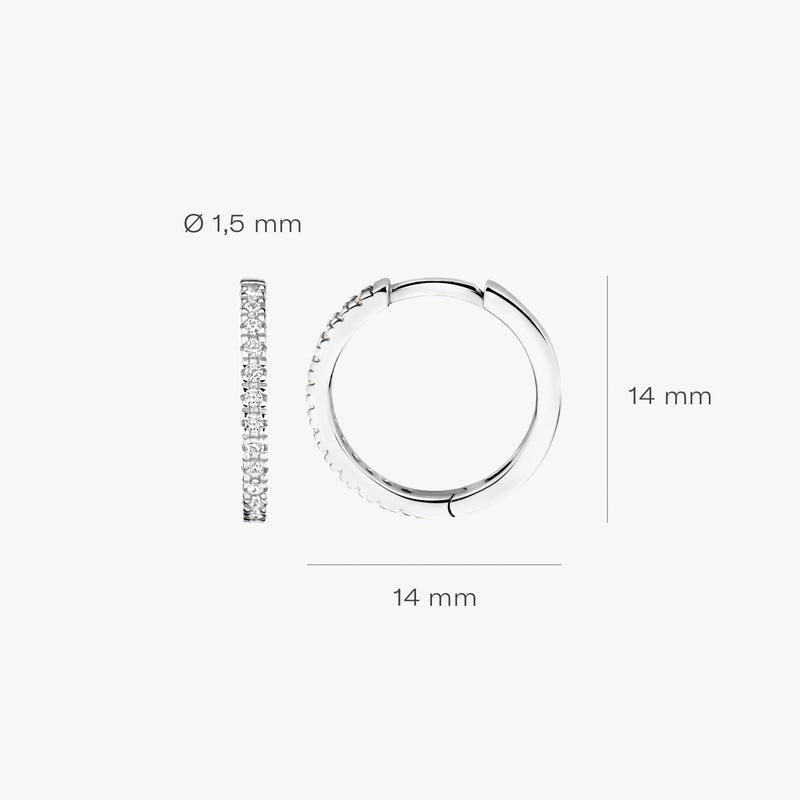Blush Oorringen 14kt Witgoud 7309WZI