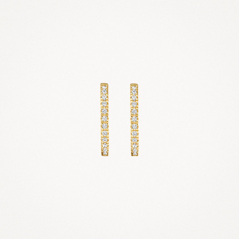 Blush Oorringen 14kt Goud 7309YZI