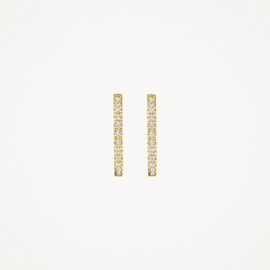 Blush Oorringen 14kt Goud 7309YZI