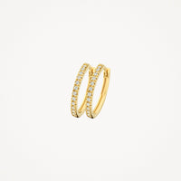 Blush Oorringen 14kt Goud 7309YZI