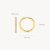 Blush Oorringen 14kt Goud 7309YZI