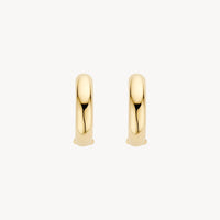 Blush Oorringen 14kt Goud 7316YGO