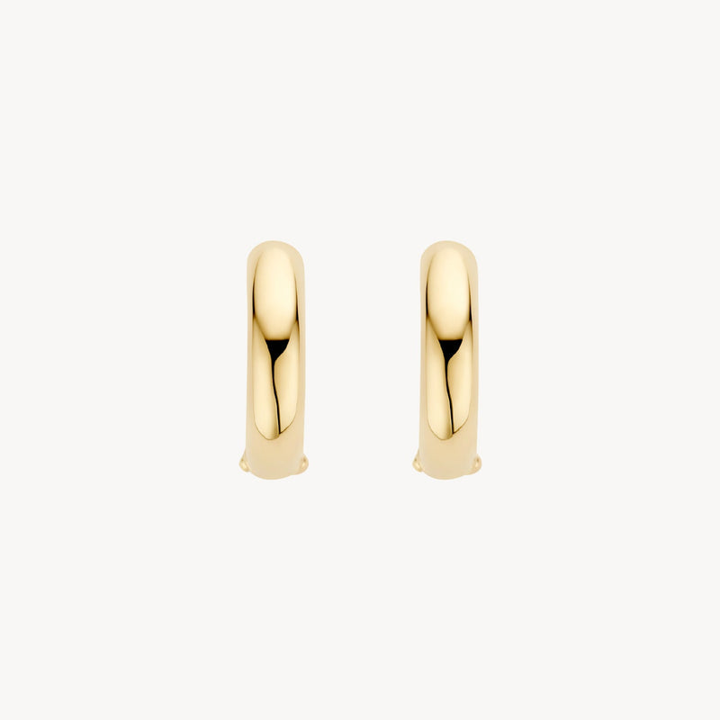 Blush Oorringen 14kt Goud 7316YGO