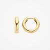 Blush Oorringen 14kt Goud 7316YGO