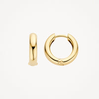Blush Oorringen 14kt Goud 7316YGO