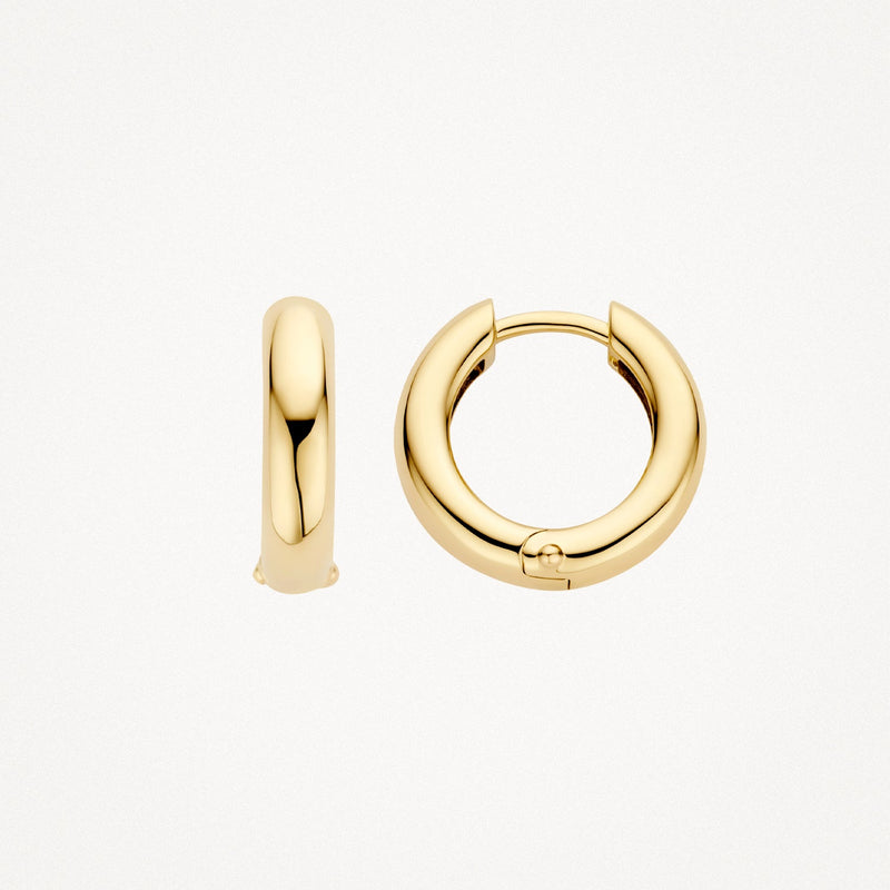 Blush Oorringen 14kt Goud 7316YGO