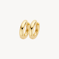 Blush Oorringen 14kt Goud 7316YGO
