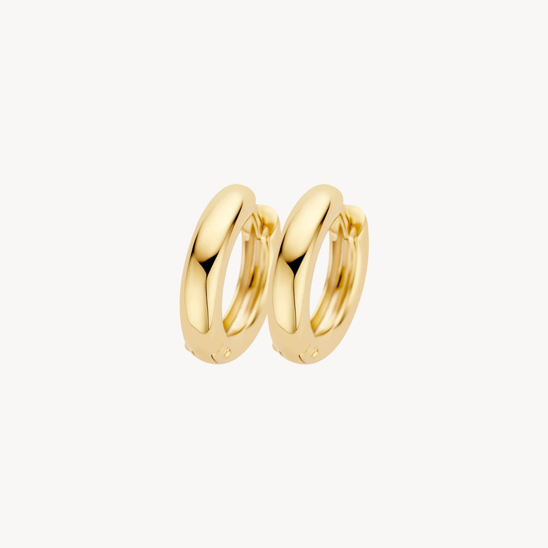 Blush Oorringen 14kt Goud 7316YGO
