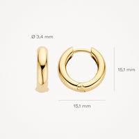 Blush Oorringen 14kt Goud 7316YGO