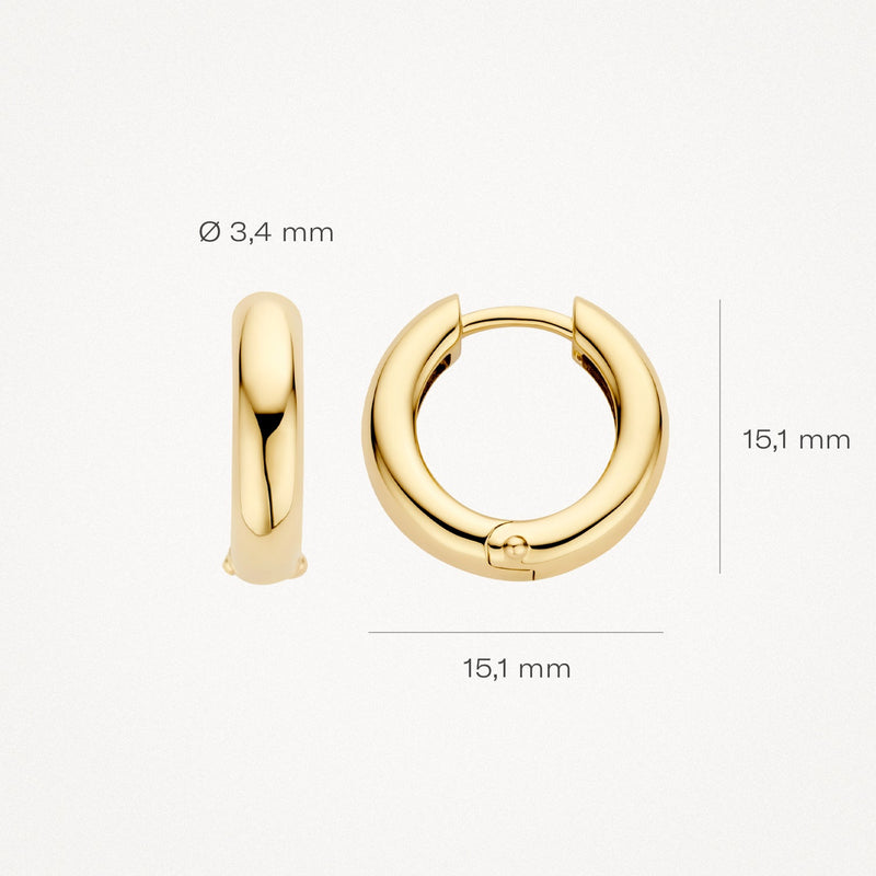 Blush Oorringen 14kt Goud 7316YGO