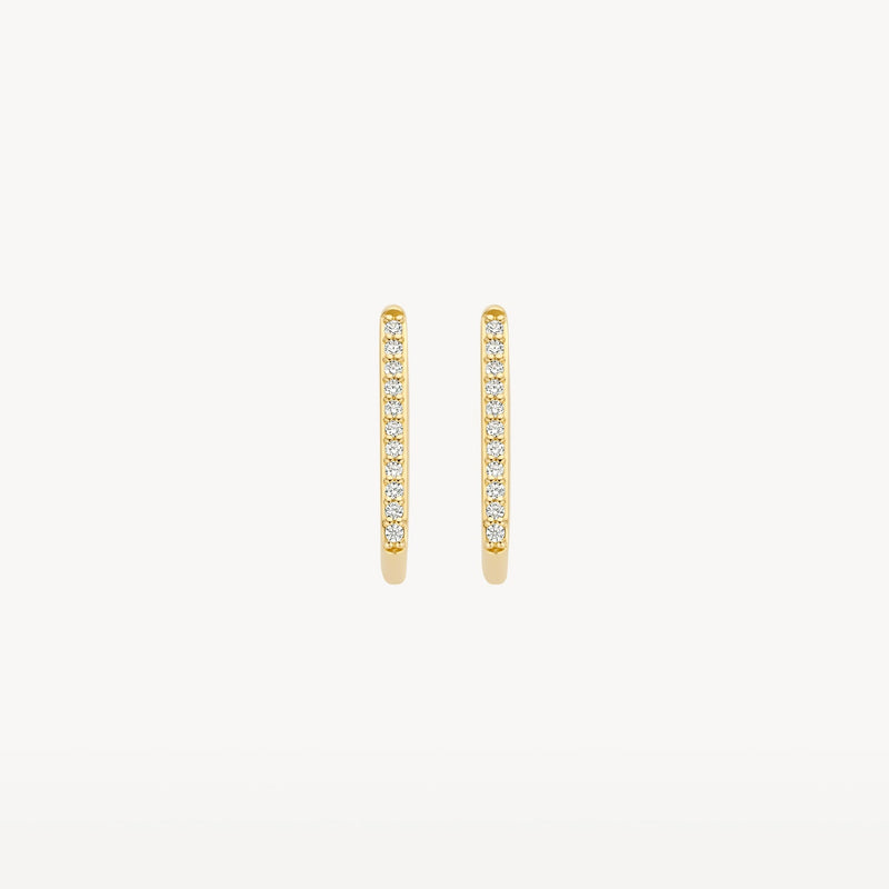 Blush Oorringen 14kt Goud 7318YZI