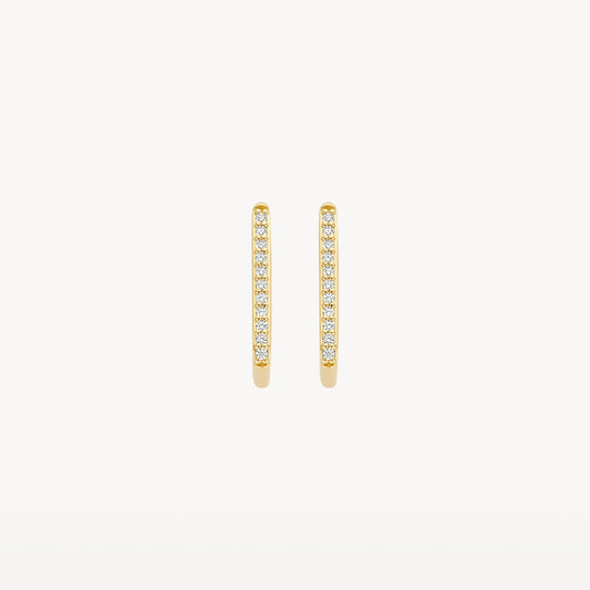 Blush Oorringen 14kt Goud 7318YZI