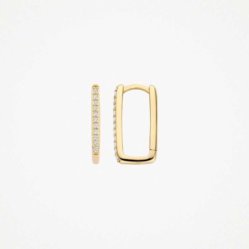 Blush Oorringen 14kt Goud 7318YZI