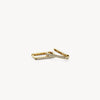Blush Oorringen 14kt Goud 7318YZI