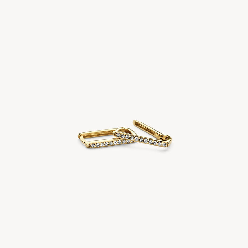 Blush Oorringen 14kt Goud 7318YZI