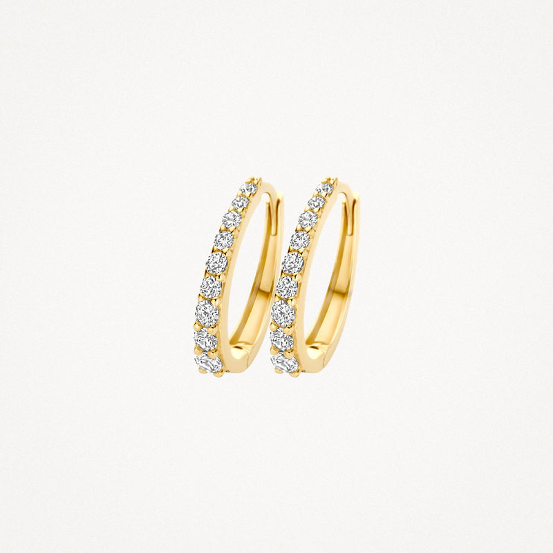 Blush Oorringen 14kt Goud 7342YZI