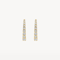 Blush Oorringen 14kt Goud 7342YZI