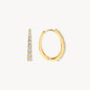 Blush Oorringen 14kt Goud 7342YZI