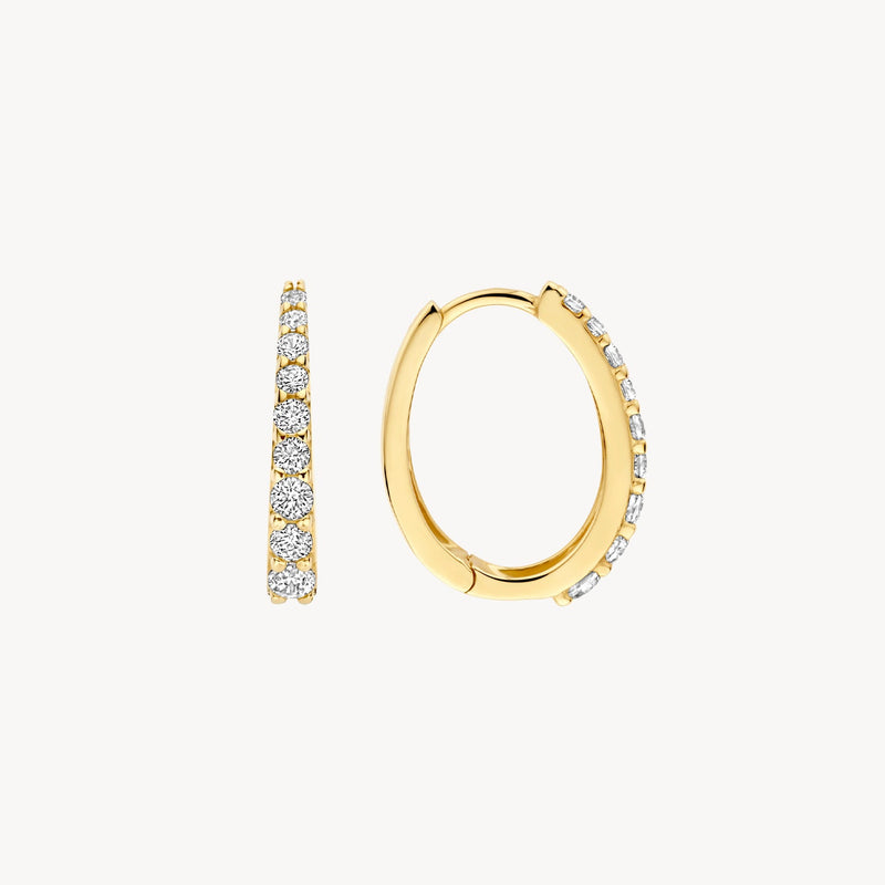 Blush Oorringen 14kt Goud 7342YZI