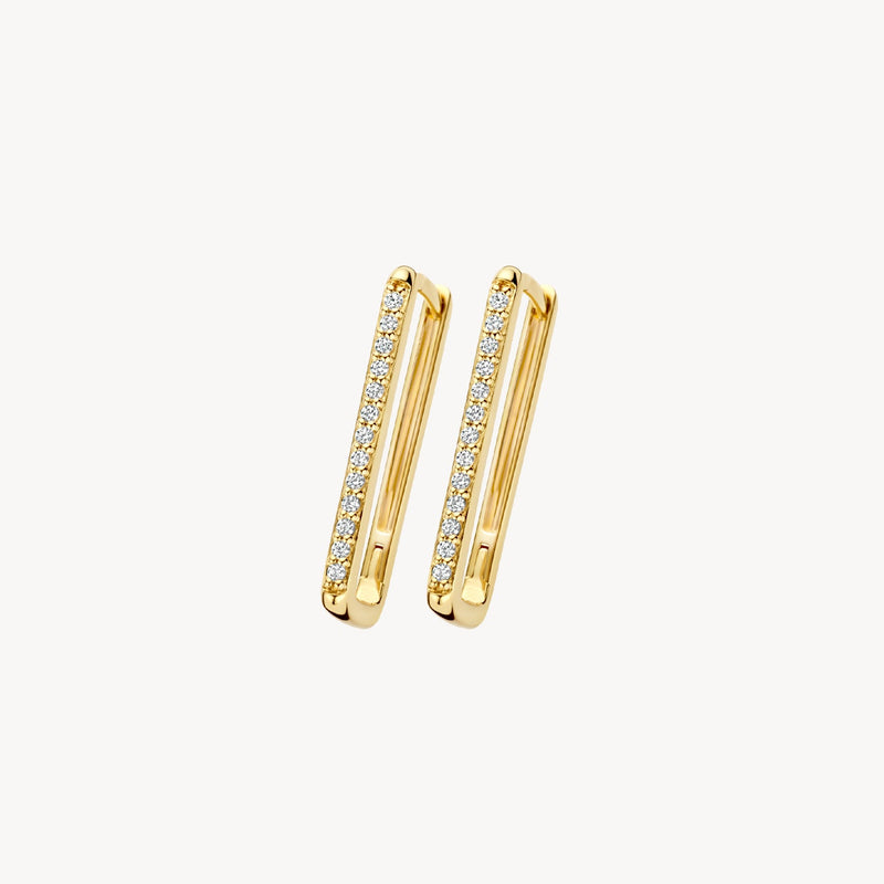 Blush Oorringen 14kt Goud 7343YZI