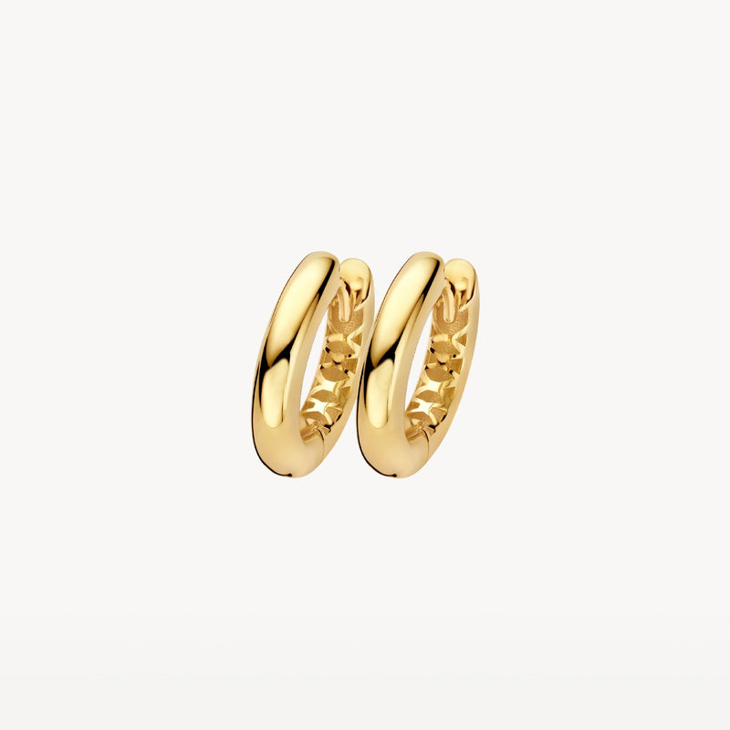 Blush Oorringen 14kt Goud LG7021Y
