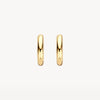 Blush Oorringen 14kt Goud LG7021Y