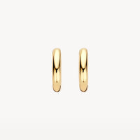 Blush Oorringen 14kt Goud LG7021Y