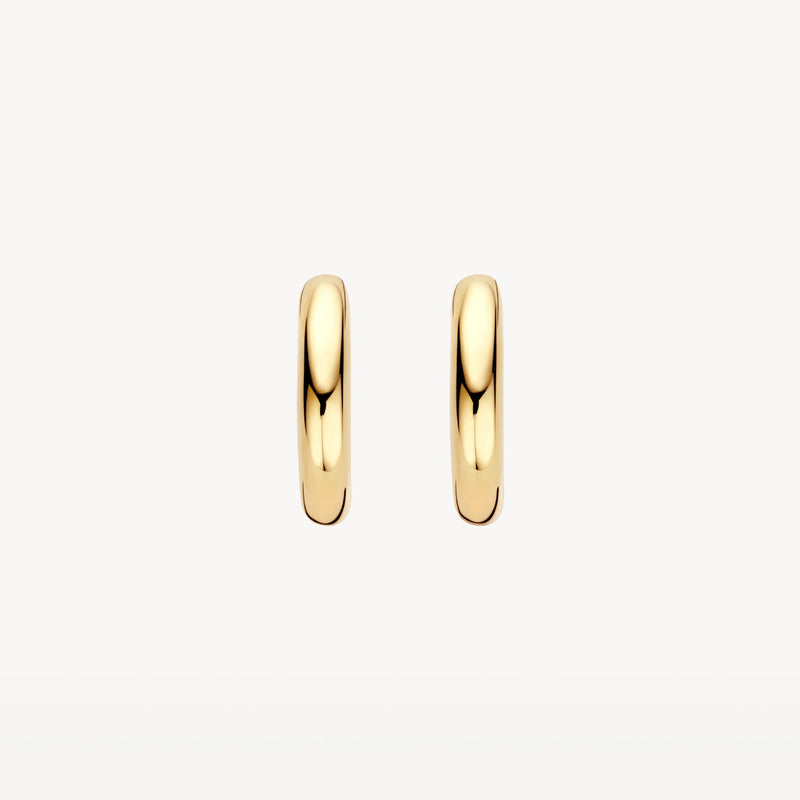 Blush Oorringen 14kt Goud LG7021Y