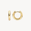 Blush Oorringen 14kt Goud LG7021Y