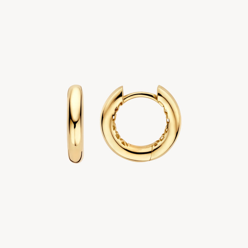 Blush Oorringen 14kt Goud LG7021Y