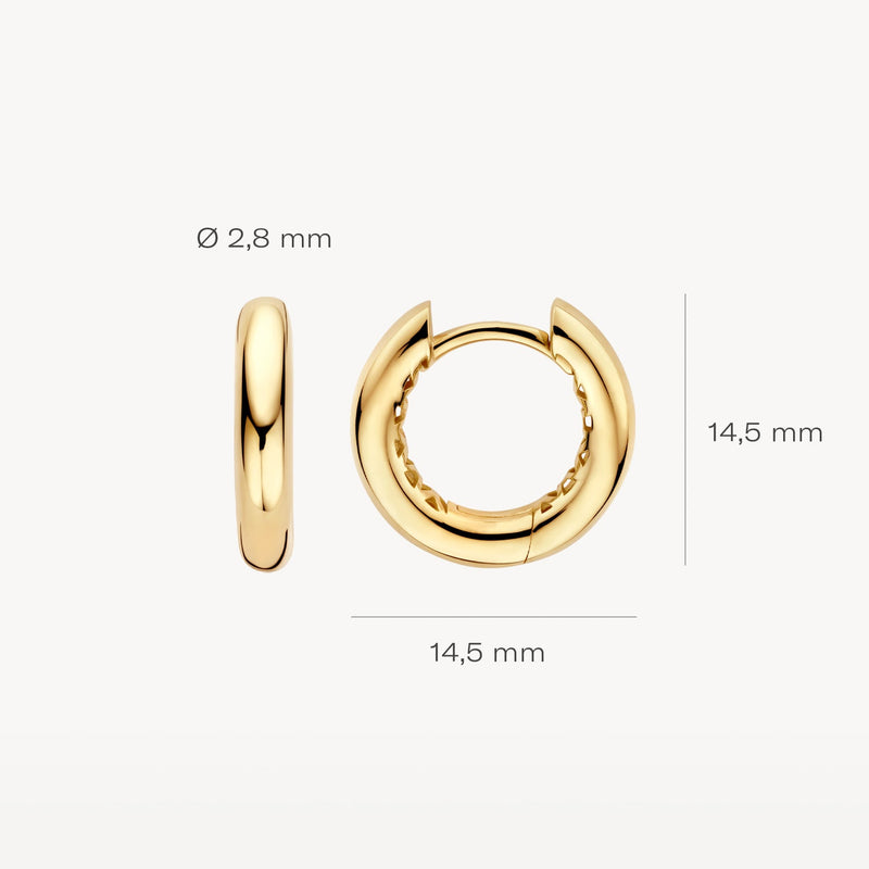 Blush Oorringen 14kt Goud LG7021Y