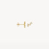 Blush Oorknoppen 14kt Goud 7373YZI