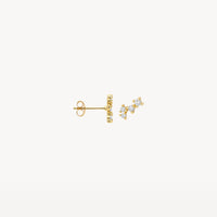 Blush Oorknoppen 14kt Goud 7373YZI