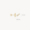 Blush Oorknoppen 14kt Goud 7373YZI