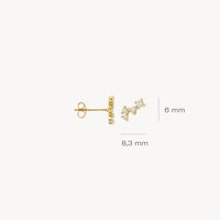 Blush Oorknoppen 14kt Goud 7373YZI