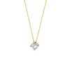 Blush Ketting 14kt Goud 3057BZI
