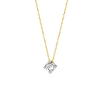 Blush Ketting 14kt Goud 3057BZI