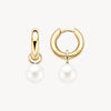 Blush Oorbedels 14kt Goud 9023YPW