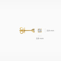 Blush Oorknoppen 14kt Goud LG7000Y