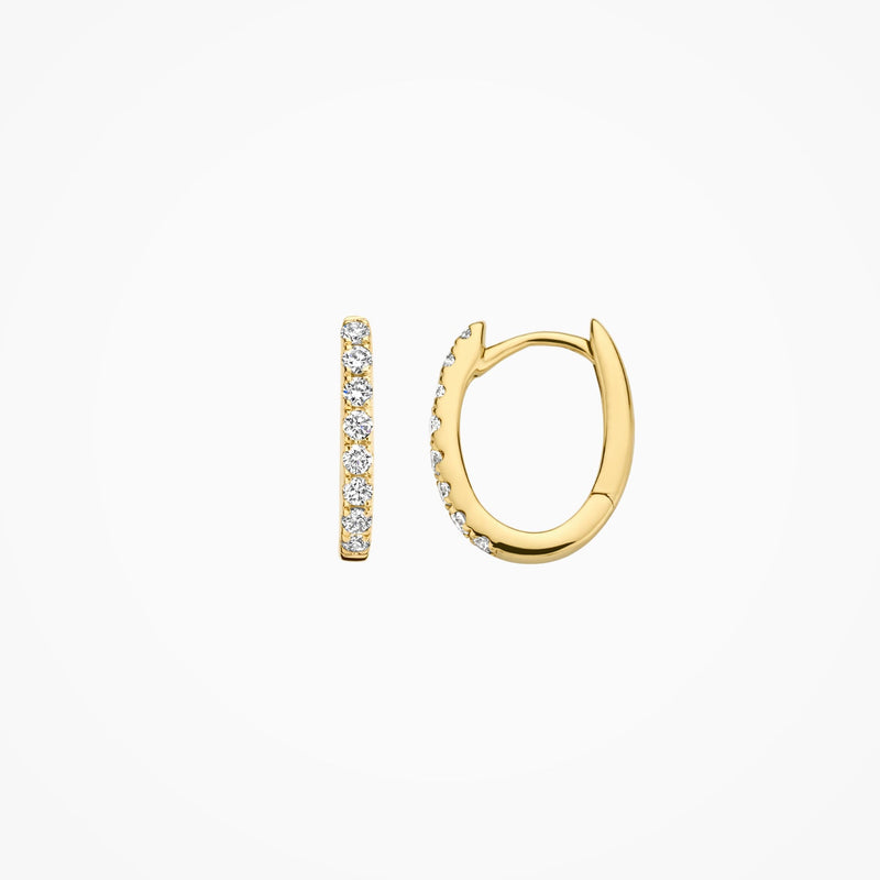 Blush Oorringen 14kt Goud LG7006Y