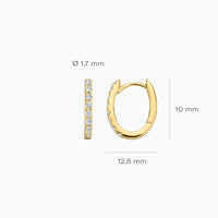 Blush Oorringen 14kt Goud LG7006Y