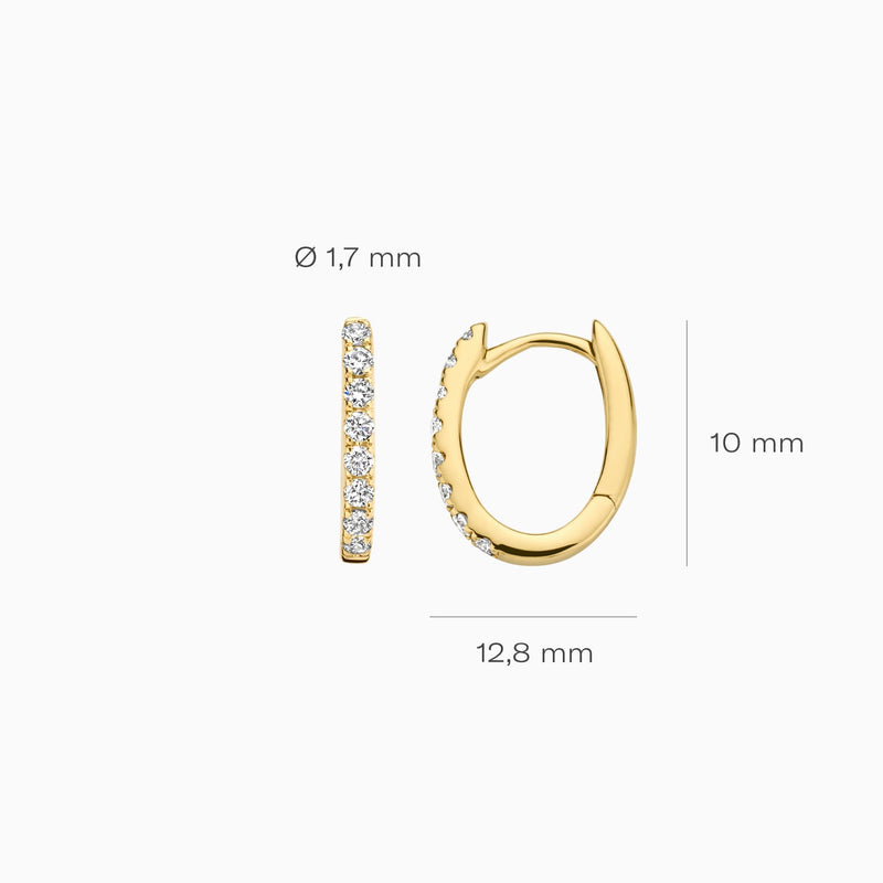 Blush Oorringen 14kt Goud LG7006Y