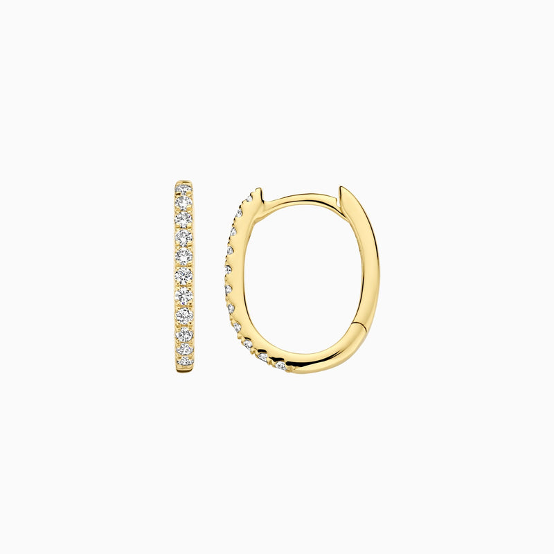 Blush Oorringen 14kt Goud LG7007Y