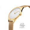 Bering Dameshorloge 17031-334