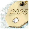 Swarovski Annual Edition Ornament Kerstklok 5701866