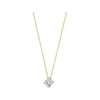 Blush Ketting 14kt Goud 3057BZI