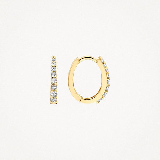 Blush Oorringen 7341YZI