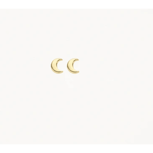 Blush oorsieraden goud 7321YGO